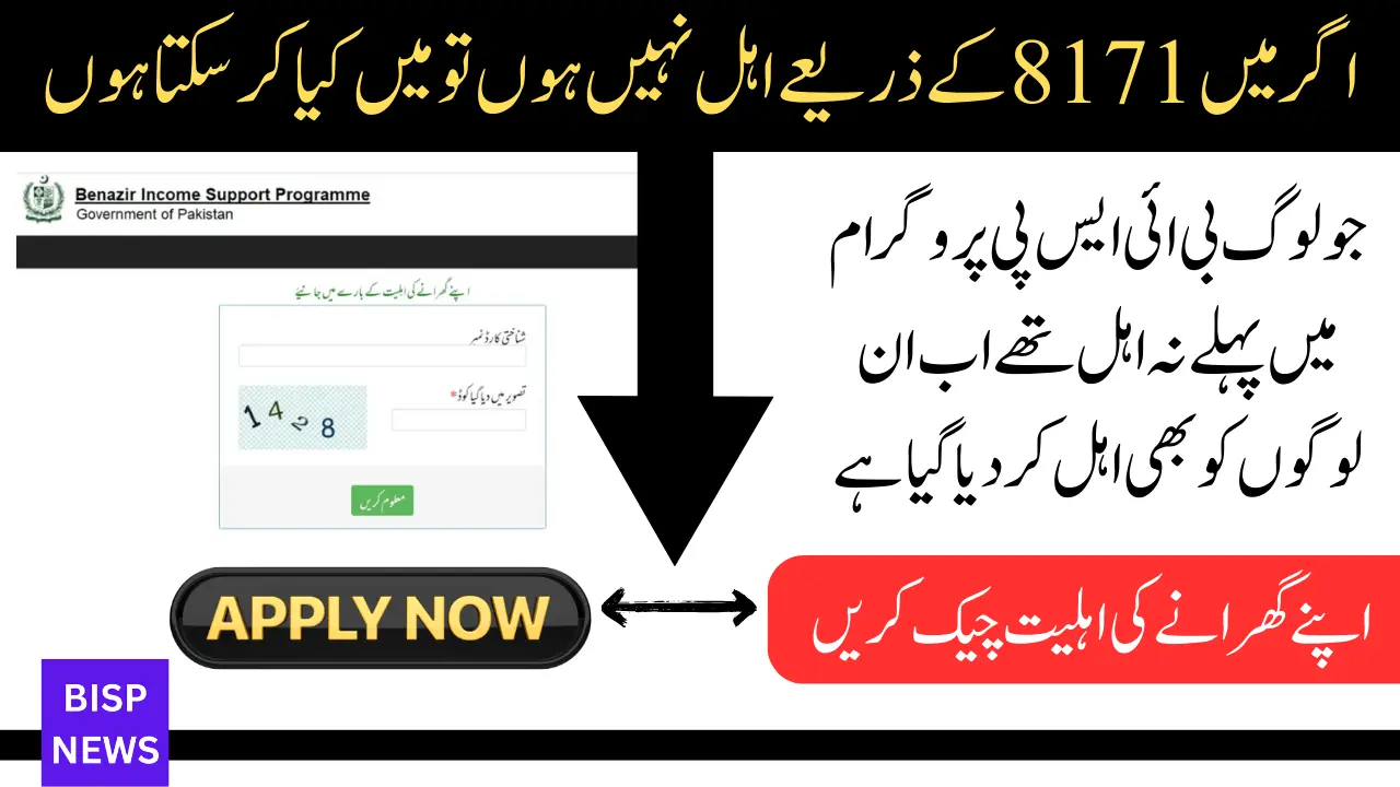 How Do I Check My CNIC BISP 8171 Status: A Complete Guide